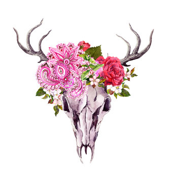 Deer animal skull with flowers, ethnic ornament. Watercolor