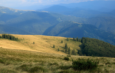 Obraz premium view to the hills from the mountain peak, yellow grass