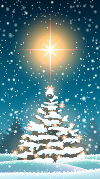 Christmas tree in winter landscape with big star