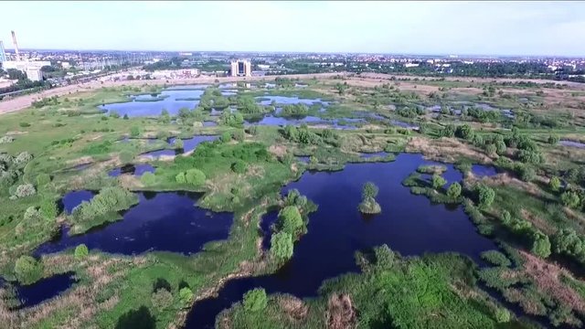 Aerial drone shot, flying over the protected  wetland of the Vacaresti Nature Reserve Delta in Bucharest , Romania