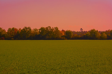 Obraz premium Sonnenuntergang im Herbst