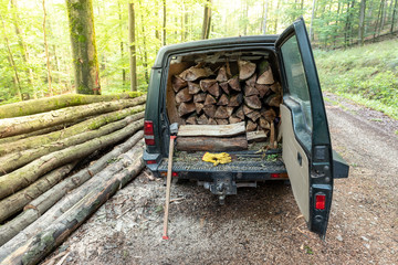 Wooden log cut in a vehicle, in forest