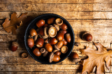 Acorns on a rustic wooden table © creativefamily