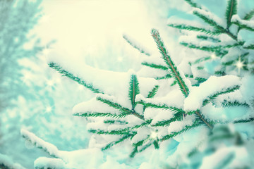 Beautiful fir tree covered snow, closeup. Winter Christmas scenic greeting card background, copy space. Holiday landscape, spruce branches, falling snowflakes. Nature outdoors. Soft vintage toned
