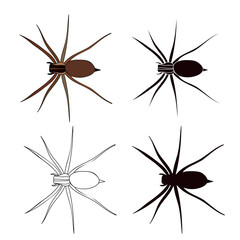  insect, spider set, sketch and silhouette