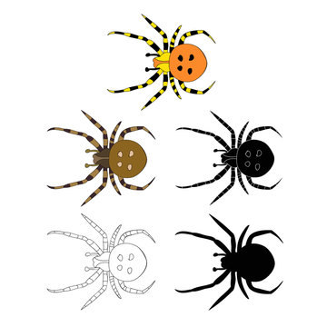 insect, spider set
