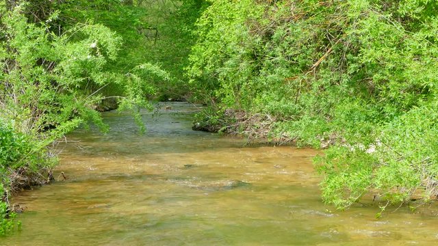 The calm flow of the river