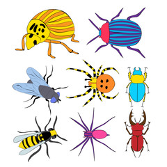 vector, isolated, insects, beetles, set