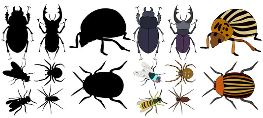 vector, isolated, insects, beetles, silhouette set