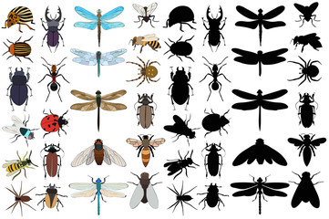 big set of insects - obrazy, fototapety, plakaty