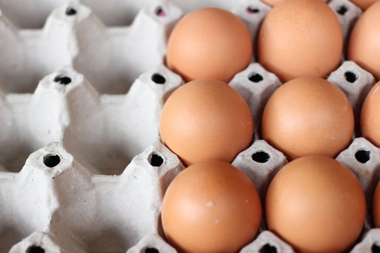 Fresh egg concept of farm daily product