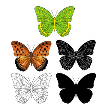 butterfly, silhouette and sketch, icon