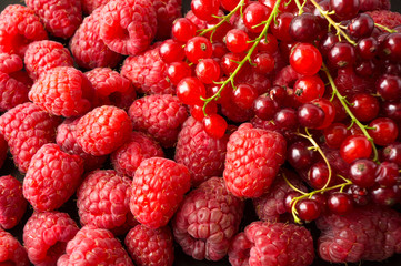 Background of raspberries and red currants. Fresh berries closeup. Top view. Background of red berries. Various fresh summer fruits. Red food.