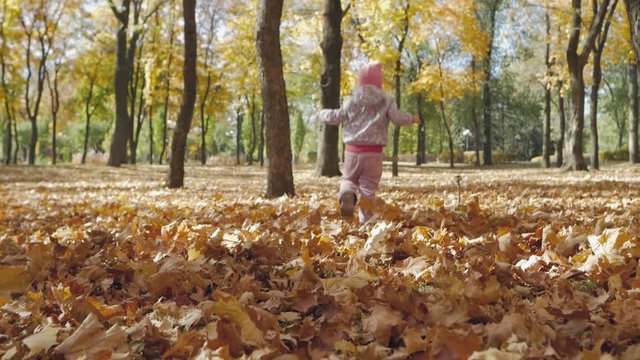 Happy child playing outdoors in autumn park