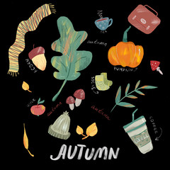  autumn background with different objects and plants for design and cards