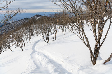 赤城山の冬の登山道