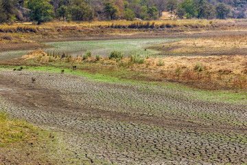 Dried up waterhole in Matobo National Park, Zimbawe. September 11, 2016.