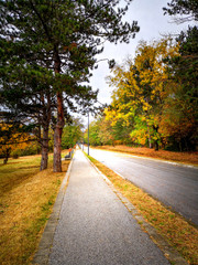 Beautiful autumn landscape in the park after rain with amazing colors. Memorial park Sumarice, Kragujevac, Serbia.