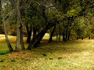 Beautiful autumn landscape in the park after rain with amazing colors. Memorial park Sumarice, Kragujevac, Serbia.