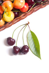 Yellow and red sweet cherry in basket with green leaf isolate on white.