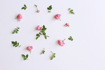 Little pink roses on white wood table. Gentle romantic background. Floral background. Top view, flat lay. Flowers, spring, summer concept. . Romance and love card concept. Empty space for your text.