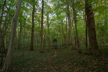 Young woman admiring the forest - 229720142