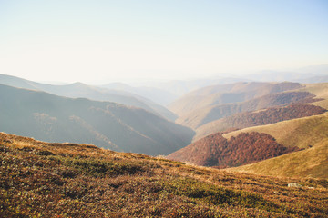 Ukrainian Carpathians in autumn time. Warm colored green leaves. the spirit of adventure Authentic views. The beauty of the earth. Forests and mountains