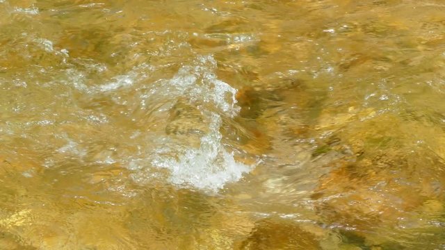 A small swirl on the surface of the stream