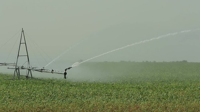 Irrigation system works in a green field with a strong water jets watering the agricultural crop compound footage (1080p, 25fps, compound)
