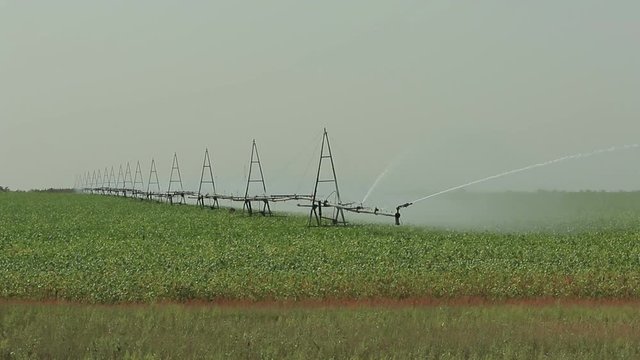 Working irrigation system in a green field compound two footages general and middle with plants in foreground (1080p, 25fps, compound)
