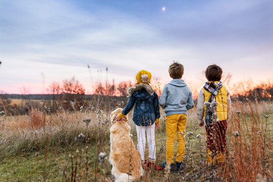 Three children in a field at sunset with their golden retriever dog, United States