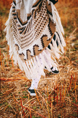 Little girl in poncho and hat traveler in the field with orange and red grass. 