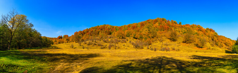 Colorful autumn landscape. Carpathian mountains, Romania, Europe.