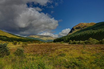 Fototapeta na wymiar Landscape with blue sky in the highlands