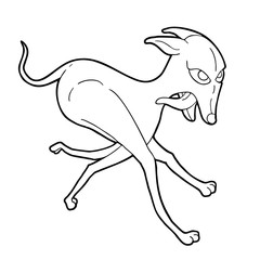 funny greyhound running