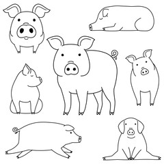 cute pigs doodle drawing set