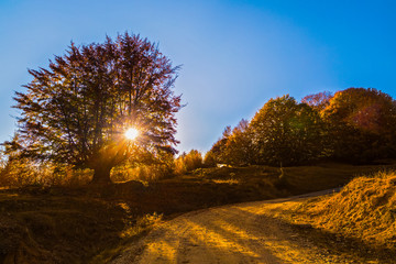 Colorful autumn landscape. Carpathian mountains, Romania, Europe.