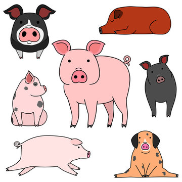 cute pigs doodle drawing set