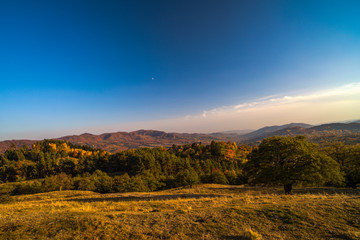 Naklejka na ściany i meble Colorful autumn landscape. Carpathian mountains, Romania, Europe.