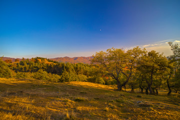 Colorful autumn landscape. Carpathian mountains, Romania, Europe.