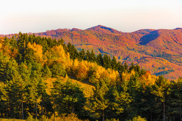 Colorful autumn landscape. Carpathian mountains, Romania, Europe.