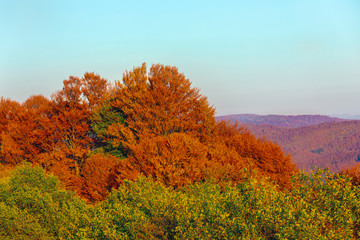 Fototapeta premium Colorful autumn landscape. Carpathian mountains, Romania, Europe.