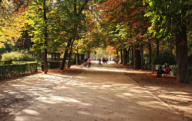 First colors of autumn in the park