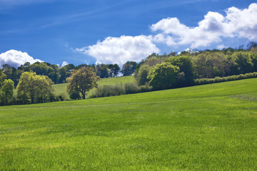 Typical England rural scene