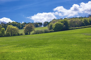 Fototapeta na wymiar Typical England rural scene