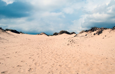 Dunes in the sand