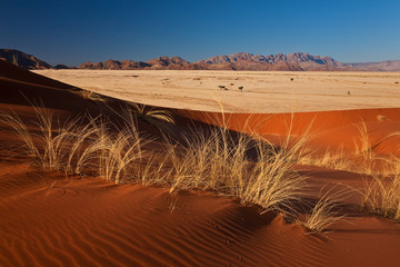 sossusvlei