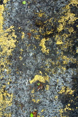 Close up of wall and pavement texture for creativity, imaginative backgrounds and ideas. Suitable for print, web, postcards, posters, flyers.