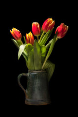 Bouquet of red tulips in old vase isolated on black background