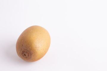 kiwi on white background